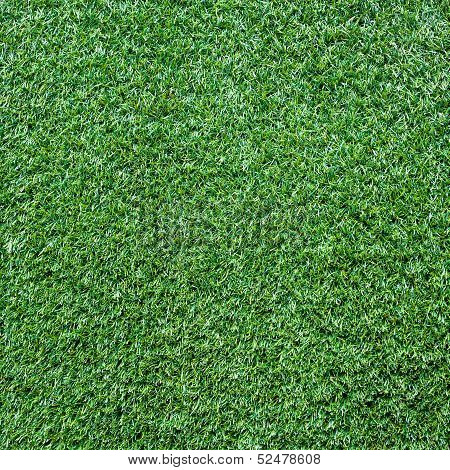 Turf Grass Texture And Surface