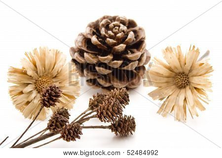 Straw flower with pine plug