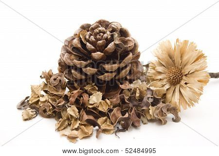 Potpourri with pine plug