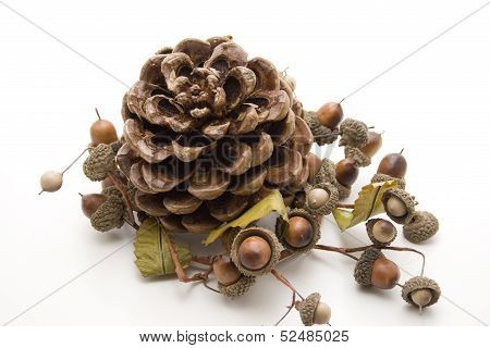 Acorn wreath with pine plug