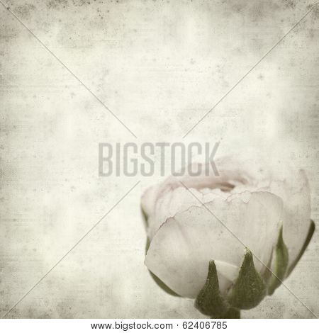 Textured Old Paper Background