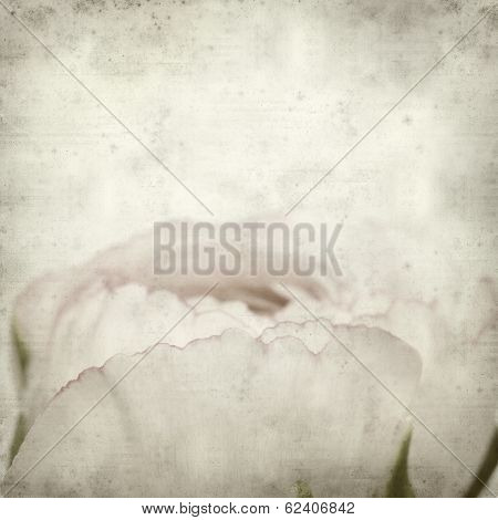 Textured Old Paper Background