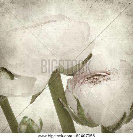 Textured Old Paper Background