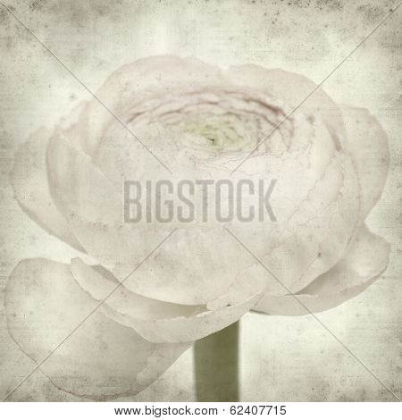 Textured Old Paper Background
