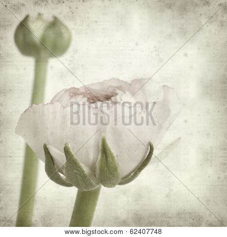 Textured Old Paper Background