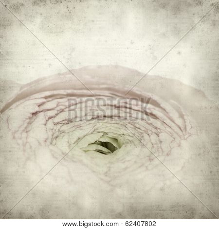 Textured Old Paper Background