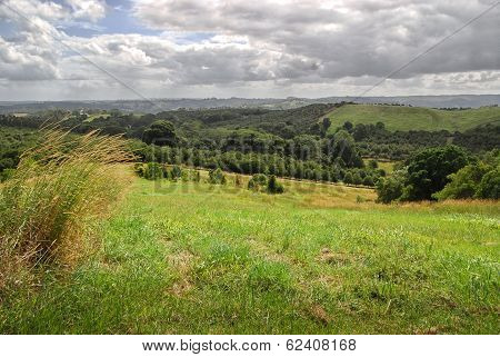 Australian Countryside