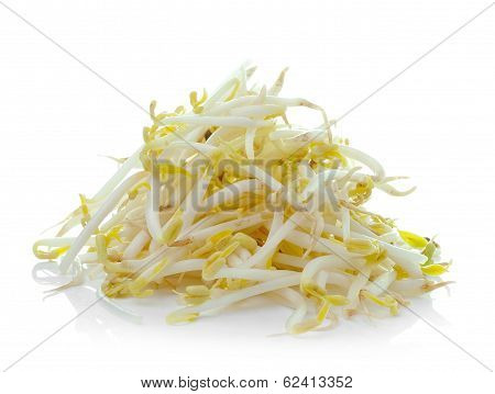 Bean Sprouts On White Background