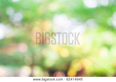 Green Leaf Boken Blur For Natural Background