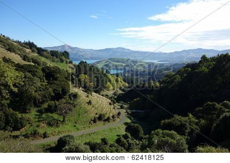 Hobbits Live There