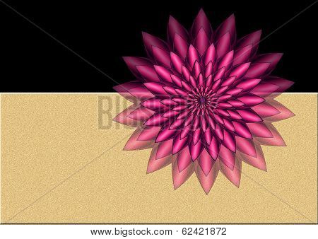 purple flower