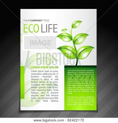vector eco friendly flyer brochure design template 