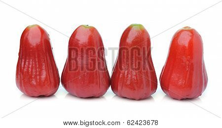 Roseapple Isolated On White Background