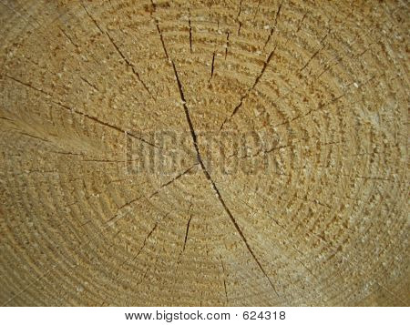 Timber