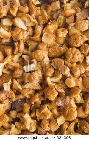 Cogumelos fritos gostoso