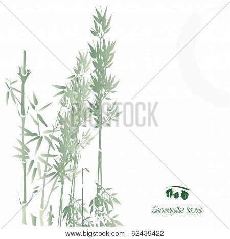 Bamboo