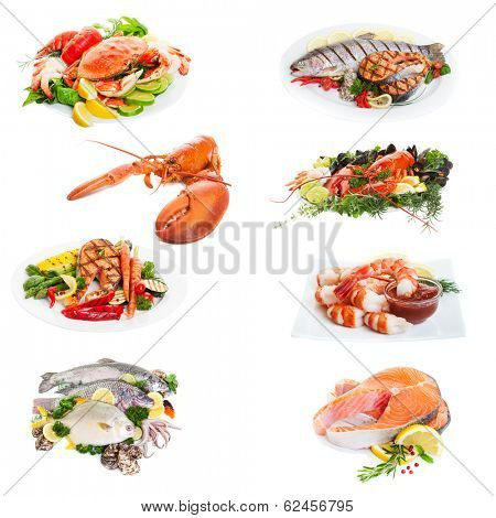 Sea food collage made from eight  photographs on white