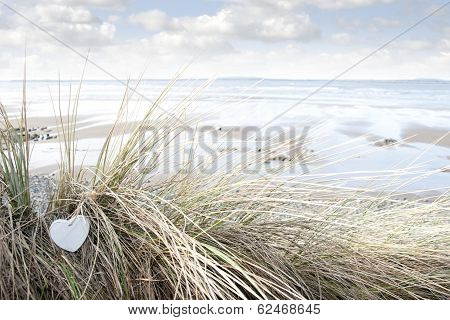 Lone Blue Wooden Heart On Beach Dunes