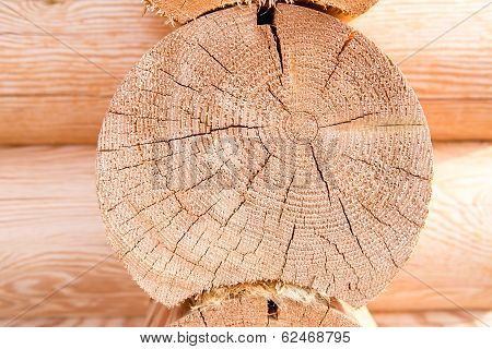 Wooden Hause. Sectioned Log.