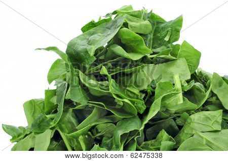 closeup of a pile of chopped raw chard leaves on a white background