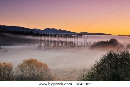 Deer Lake Park And Morning Fog