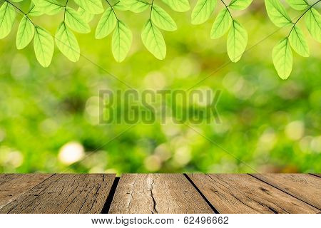 Spring Green Leaf With Bokeh And Sunlight And Wood Floo