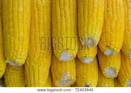 delicious yellow corn