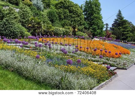 Flower Bed, Germany