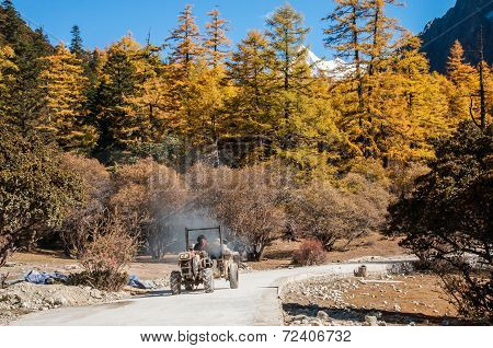 Colorful Autumn
