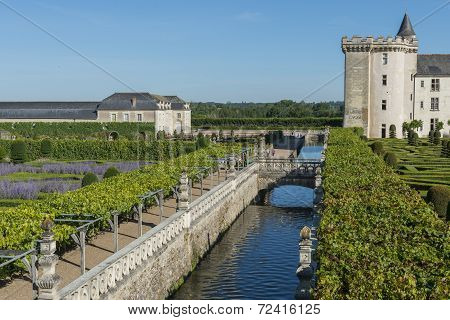 Chateau Villandry and Garden