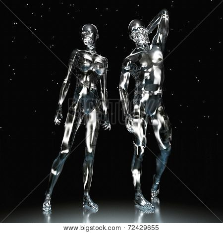 Human Anatomy