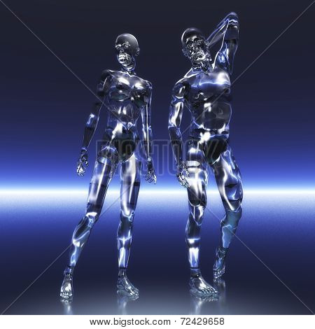 Human Anatomy