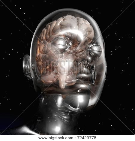 Human Brain