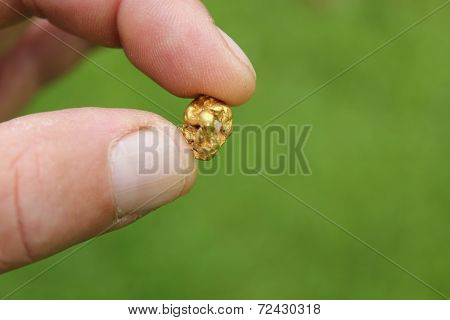 Gold Nugget