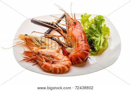 Giant Freshwater Prawn And King Prawns
