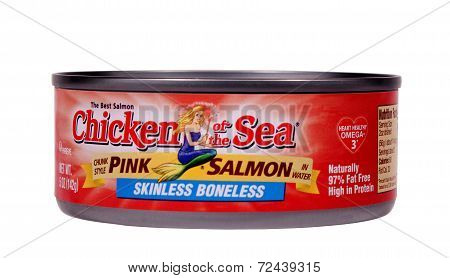 Pink Salmon