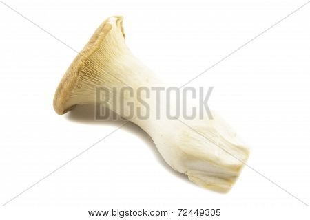 Eringi