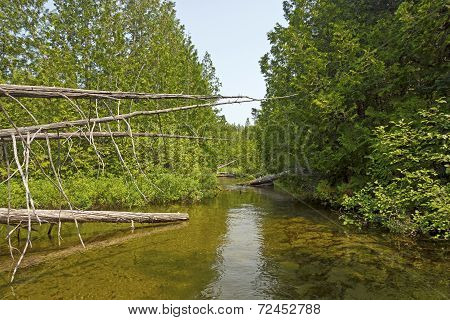 Canoe Trail Through The Wilderness