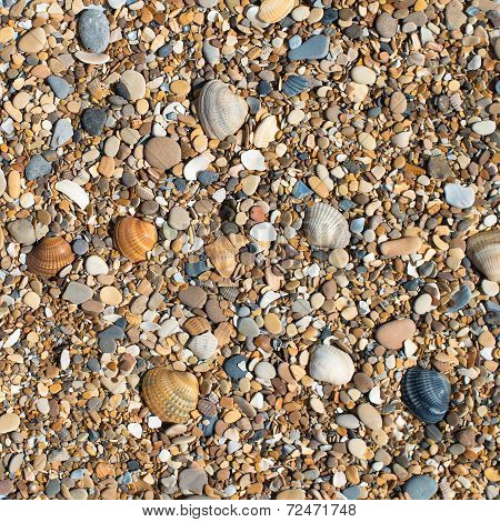 Shells