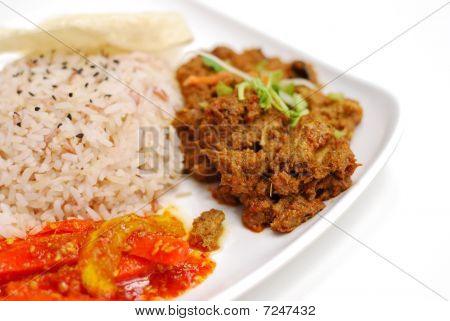 Malajski-wegetariańskie Rendang kurczaka lub Baranina ryżu