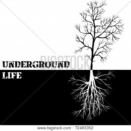 Vector background with tree and roots