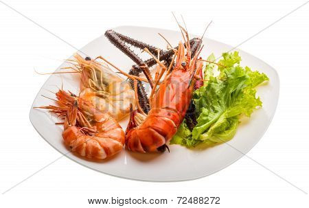Giant Freshwater Prawn And King Prawns