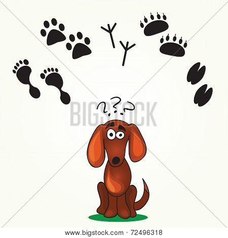 Cute Dog's  Game