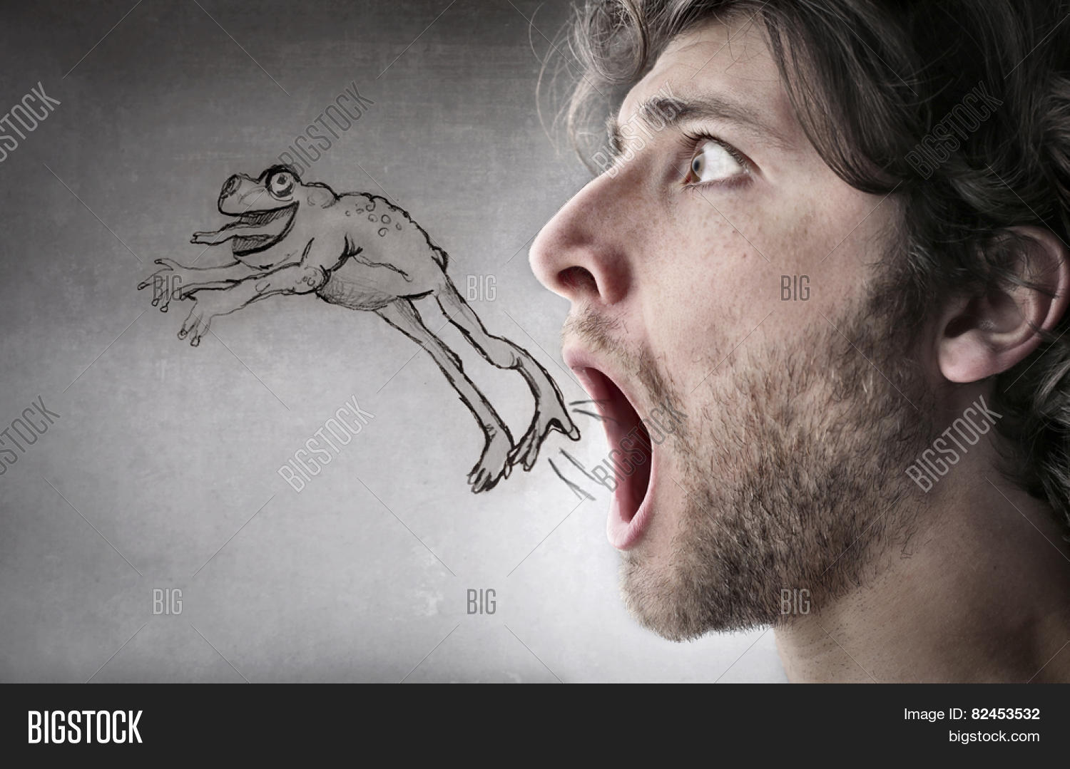 лягушка охотится. жабы изо рта. жаба щитоспинка. лягушка веельзевула. лягушка с губами.