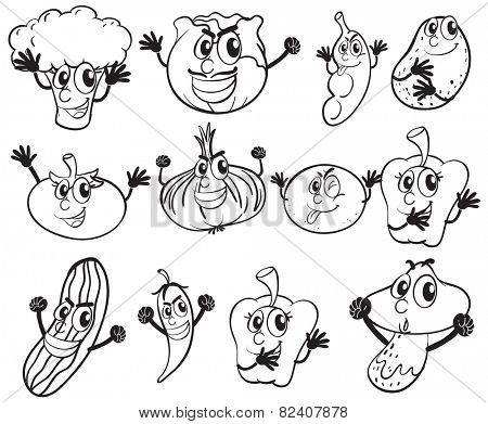 Illustration of different kind of vegetables