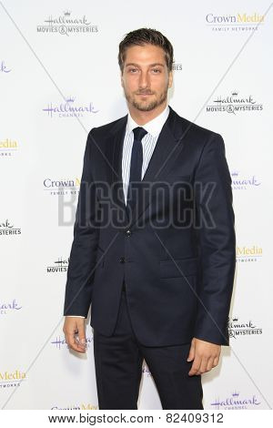 LOS ANGELES - JAN 8: Daniel Lissing at the TCA Winter 2015 Event For Hallmark Channel and Hallmark Movies & Mysteries at Tournament House on January 8, 2015 in Pasadena, CA