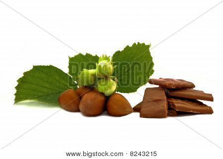 hazelnut chocolate