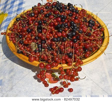Plate With Berries