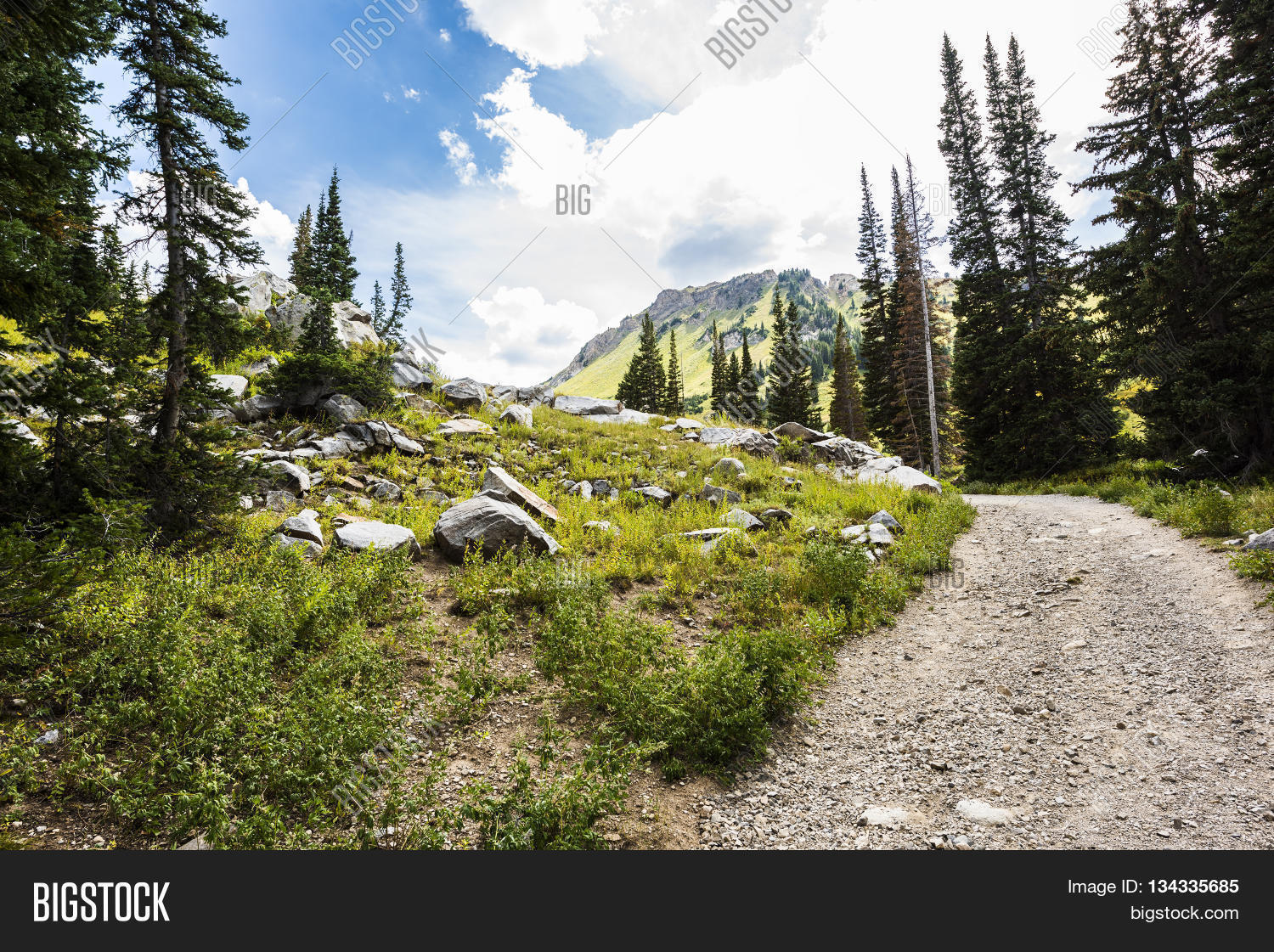 Albion Basin Landscape Image & Photo (Free Trial) | Bigstock