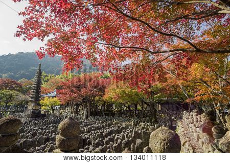 Beautiful Fall Landscape Around Kyoto